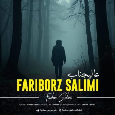 دانلود آهنگ جدید فریبرز سلیمی عالیجناب